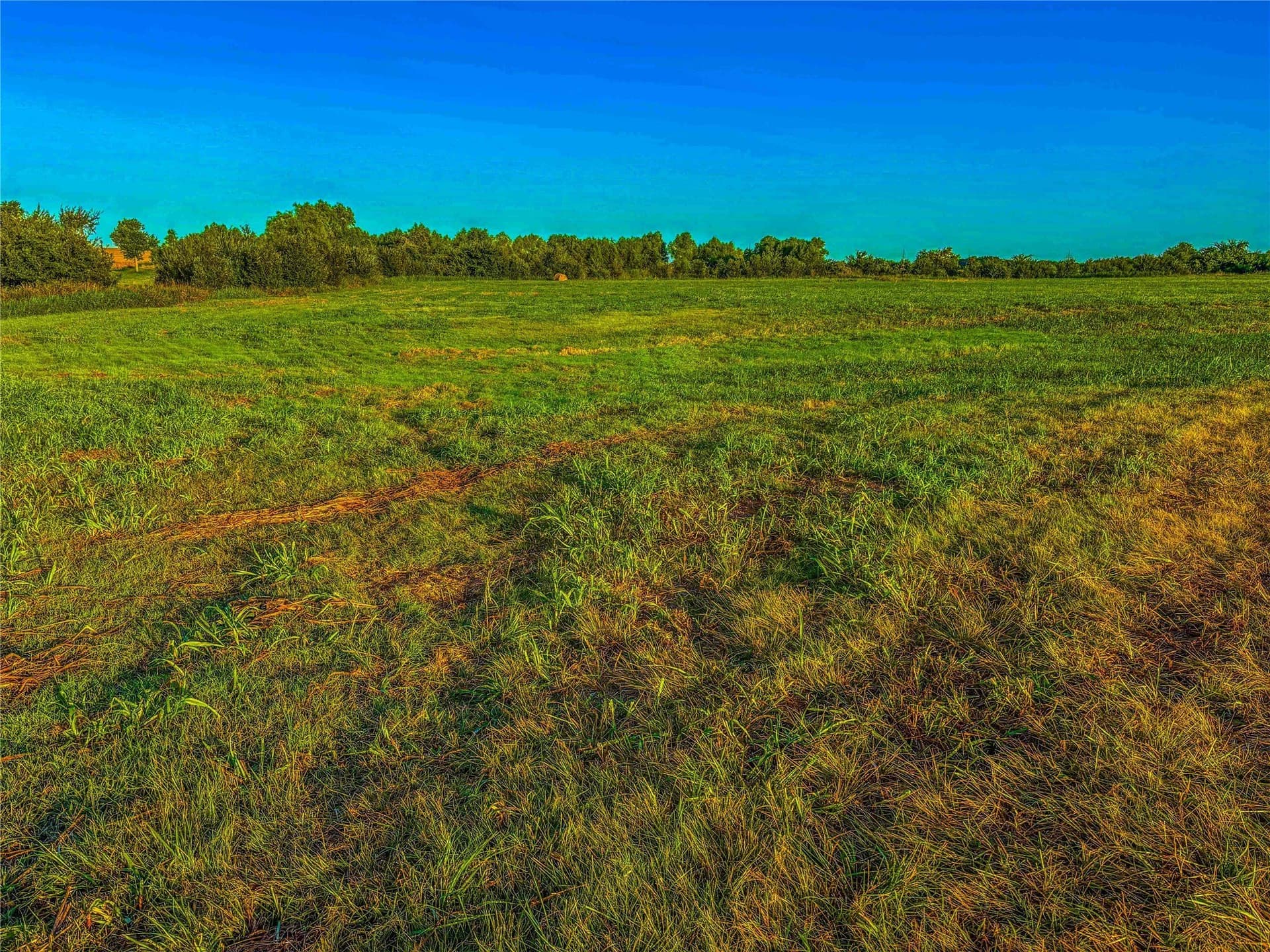 16.18 acres in Bell County - photo 17