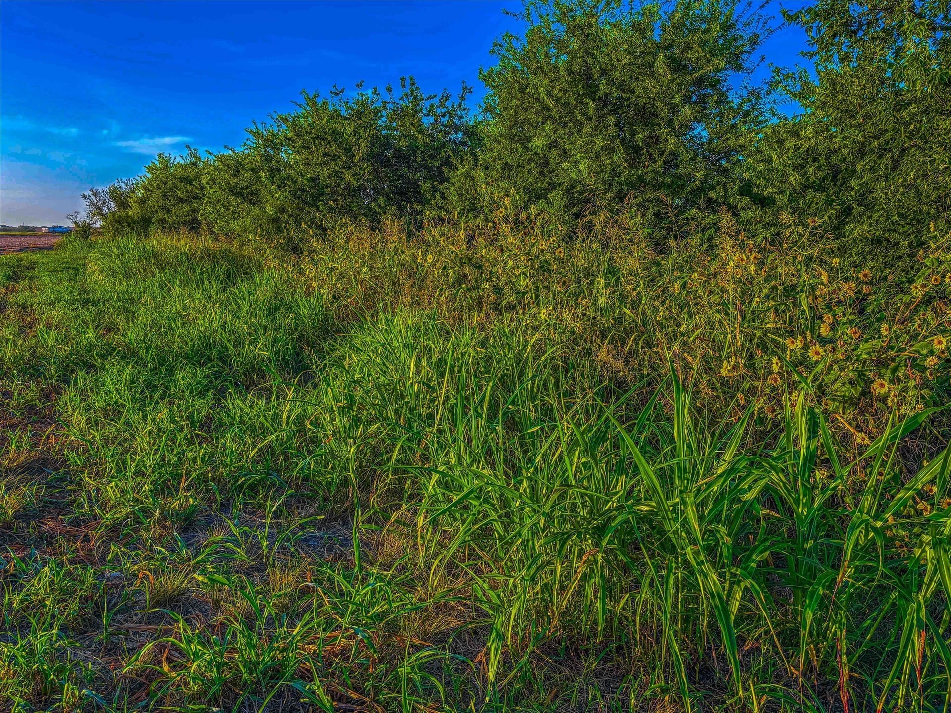 16.18 acres in Bell County - photo 18