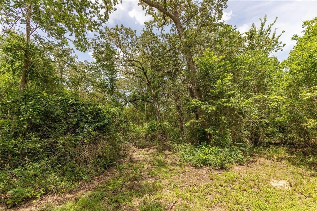 5.22 acres in AUSTIN County - photo 25