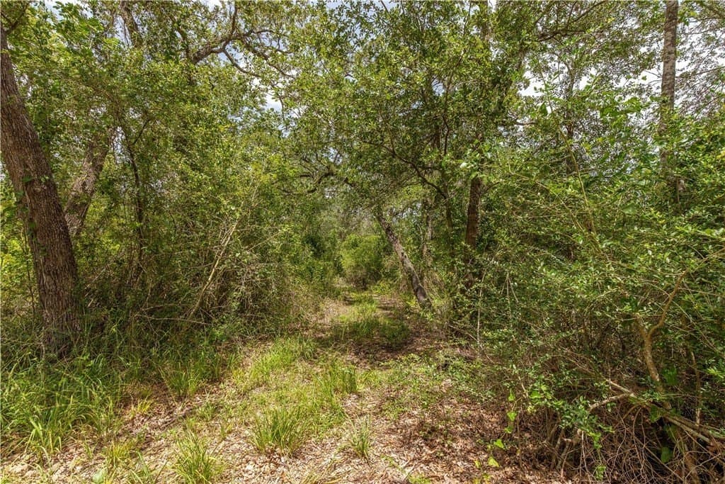 5.22 acres in AUSTIN County - photo 26