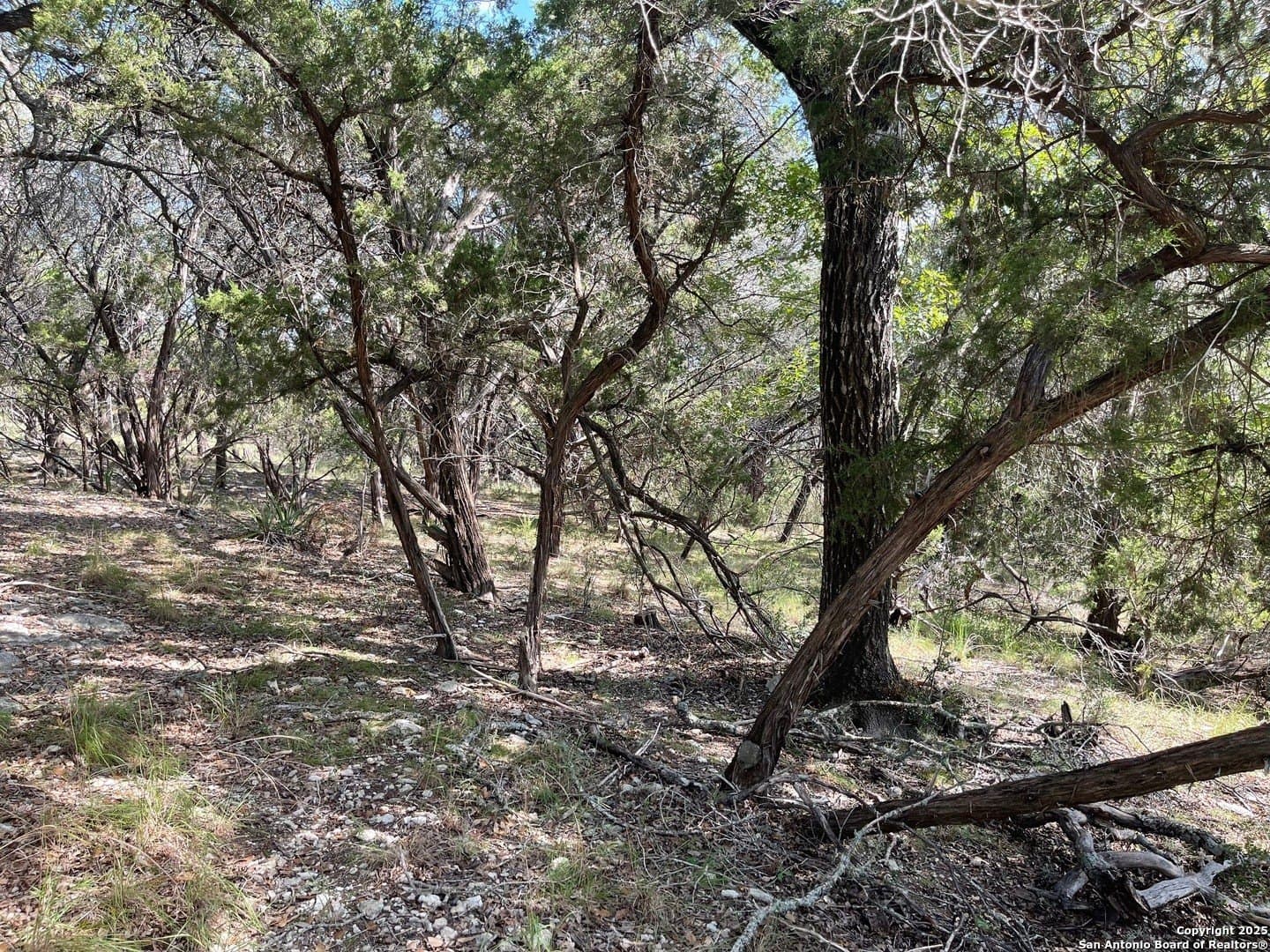 0.73 acres in Bandera County gallery image 2