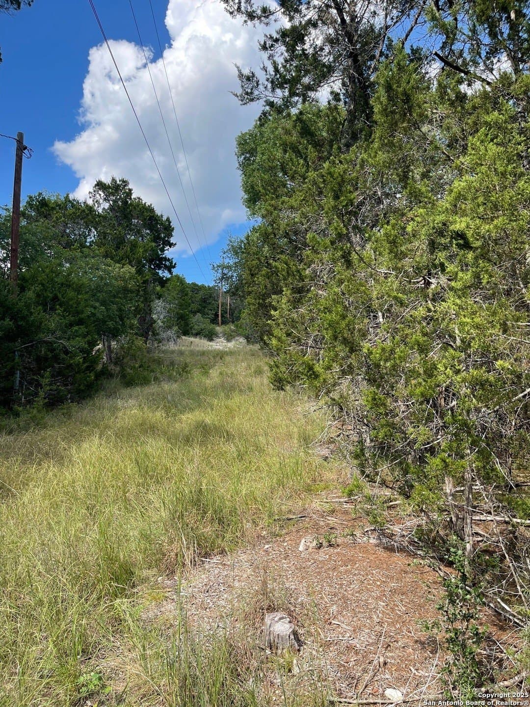 0.73 acres in Bandera County - photo 8