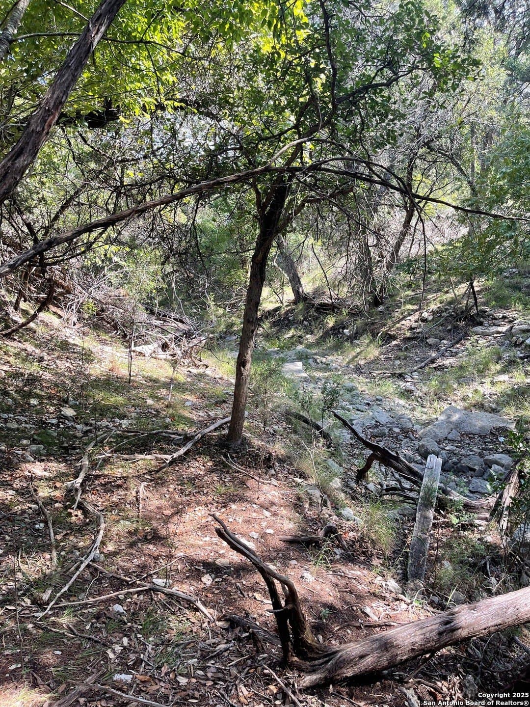 0.73 acres in Bandera County gallery image 3