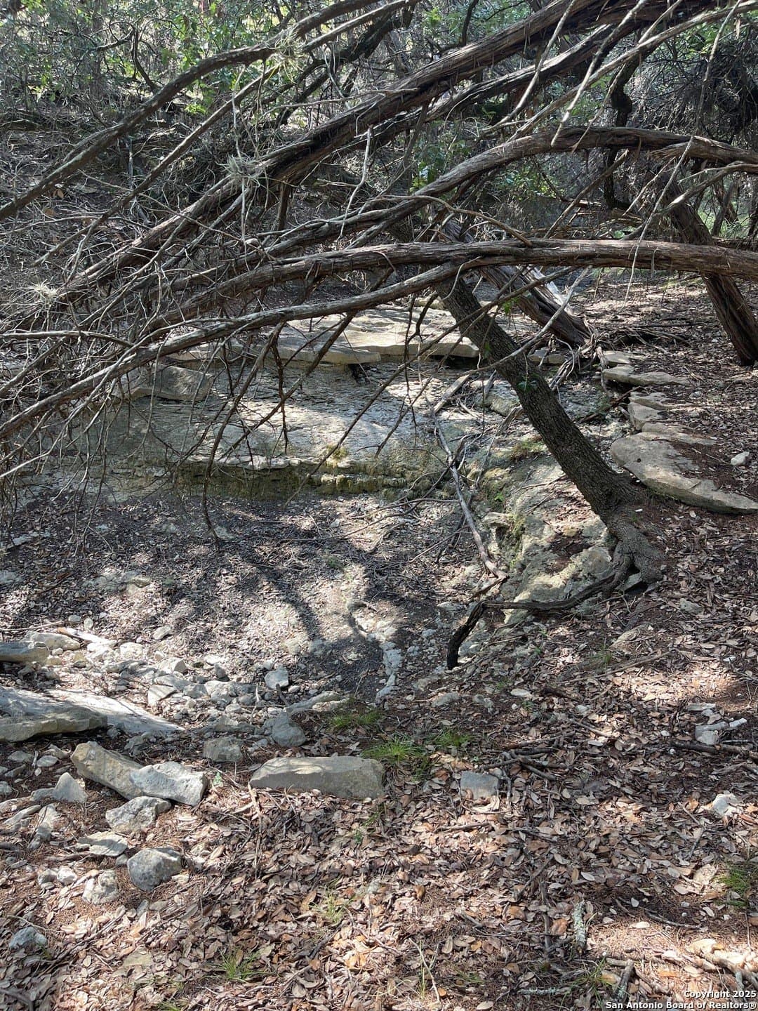 0.73 acres in Bandera County gallery image 4