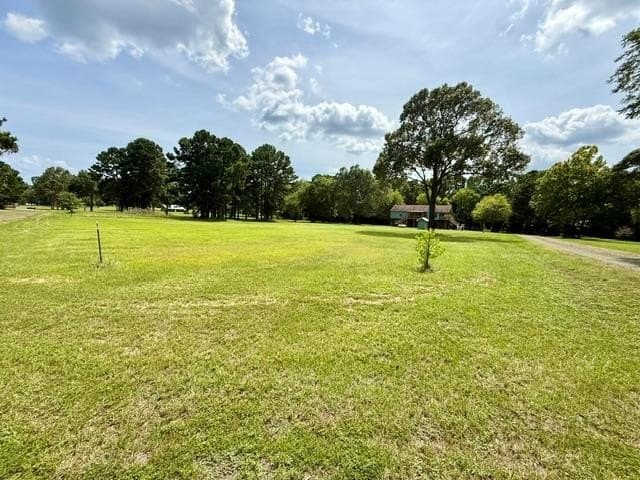 0.9 acres in Texas County - photo 7
