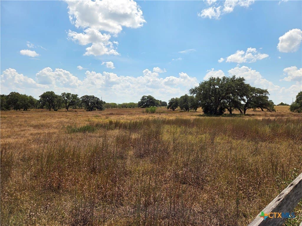 8.95 acres in DeWitt County - photo 8
