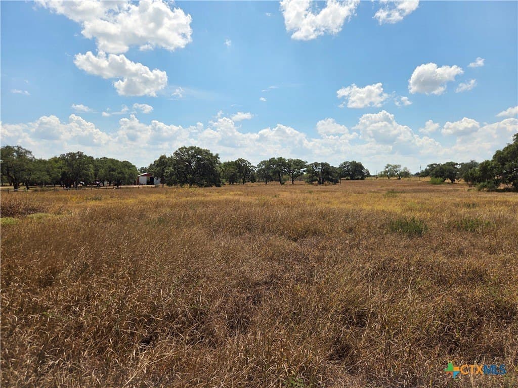 8.95 acres in DeWitt County - photo 7