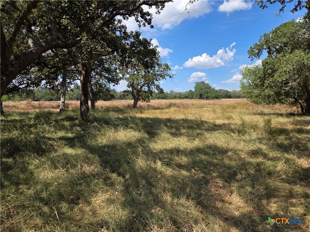 8.95 acres in DeWitt County - photo 15