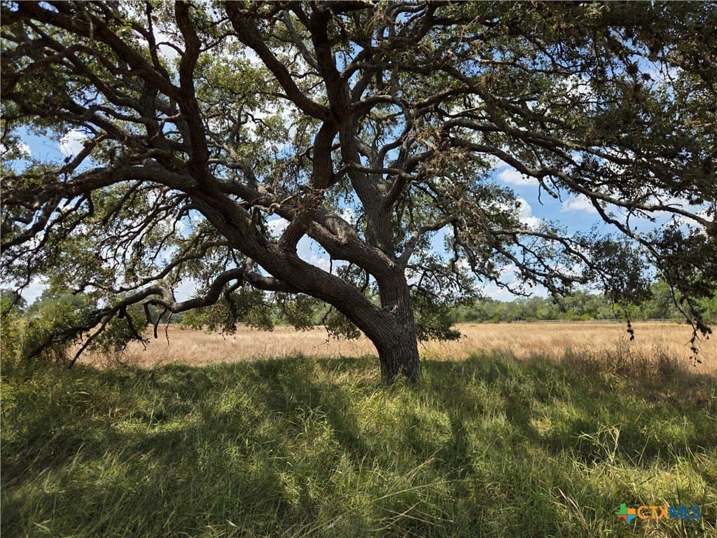 8.95 acres in DeWitt County - photo 13