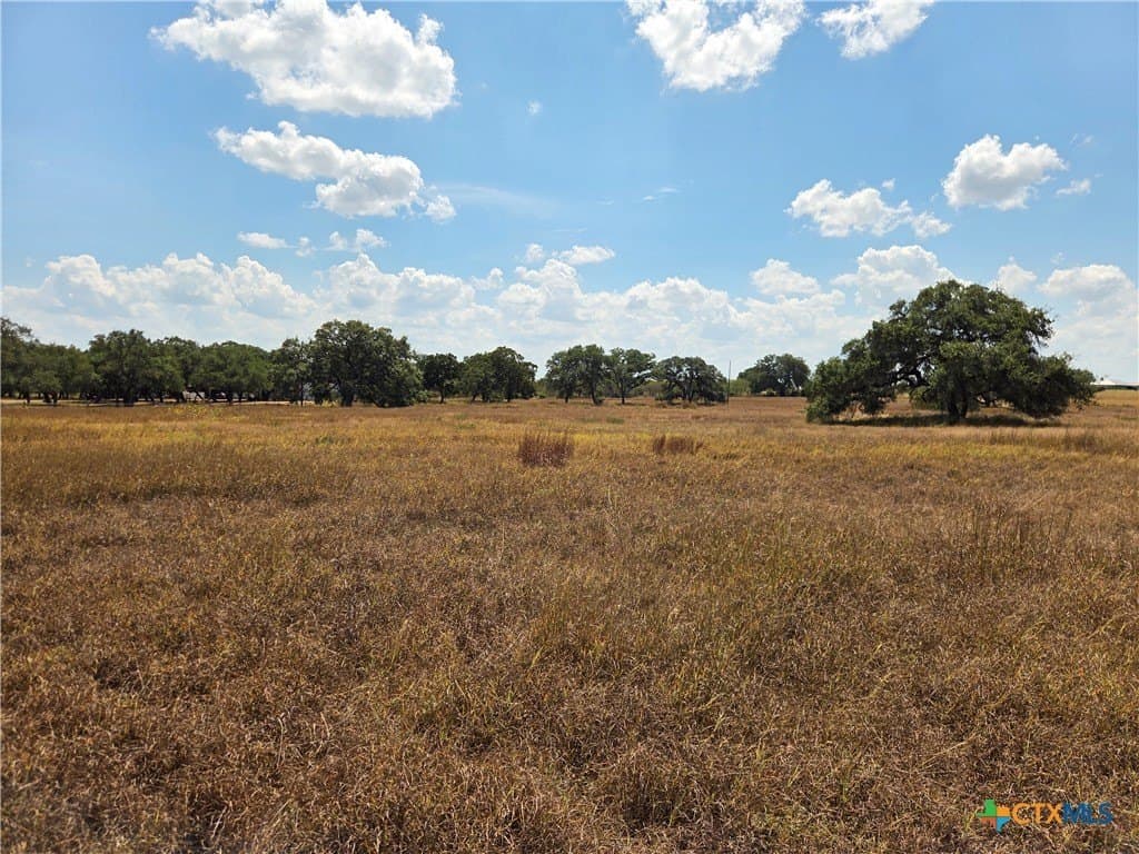 8.95 acres in DeWitt County - photo 6