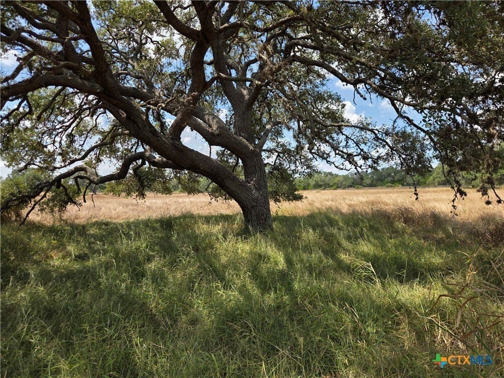 8.95 acres in DeWitt County - photo 11
