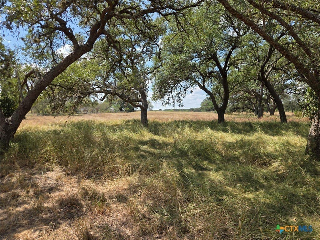 8.95 acres in DeWitt County - photo 14