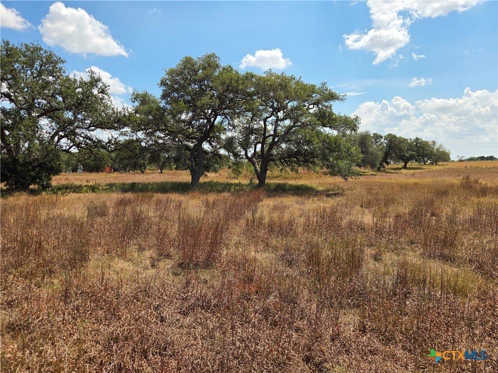 8.95 acres in DeWitt County - photo 9