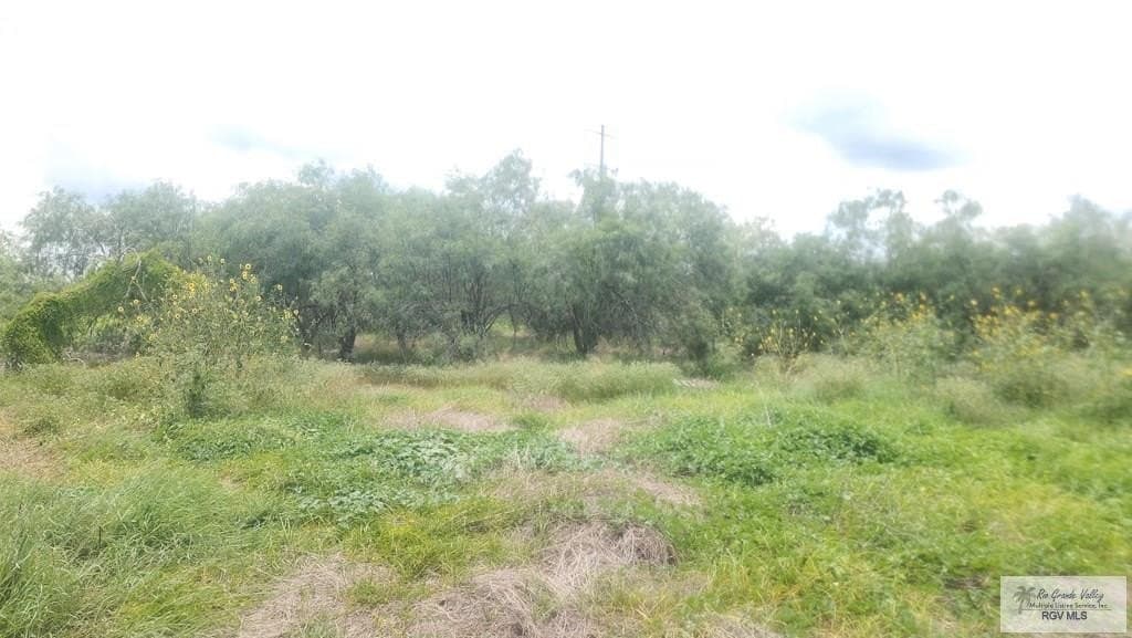 3.93 acres in CAMERON County gallery image 4