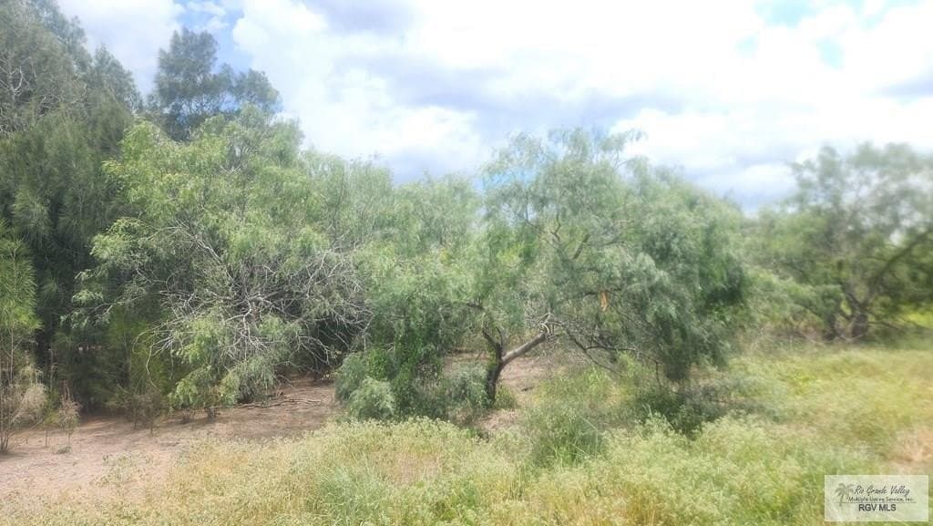 3.93 acres in CAMERON County gallery image 3