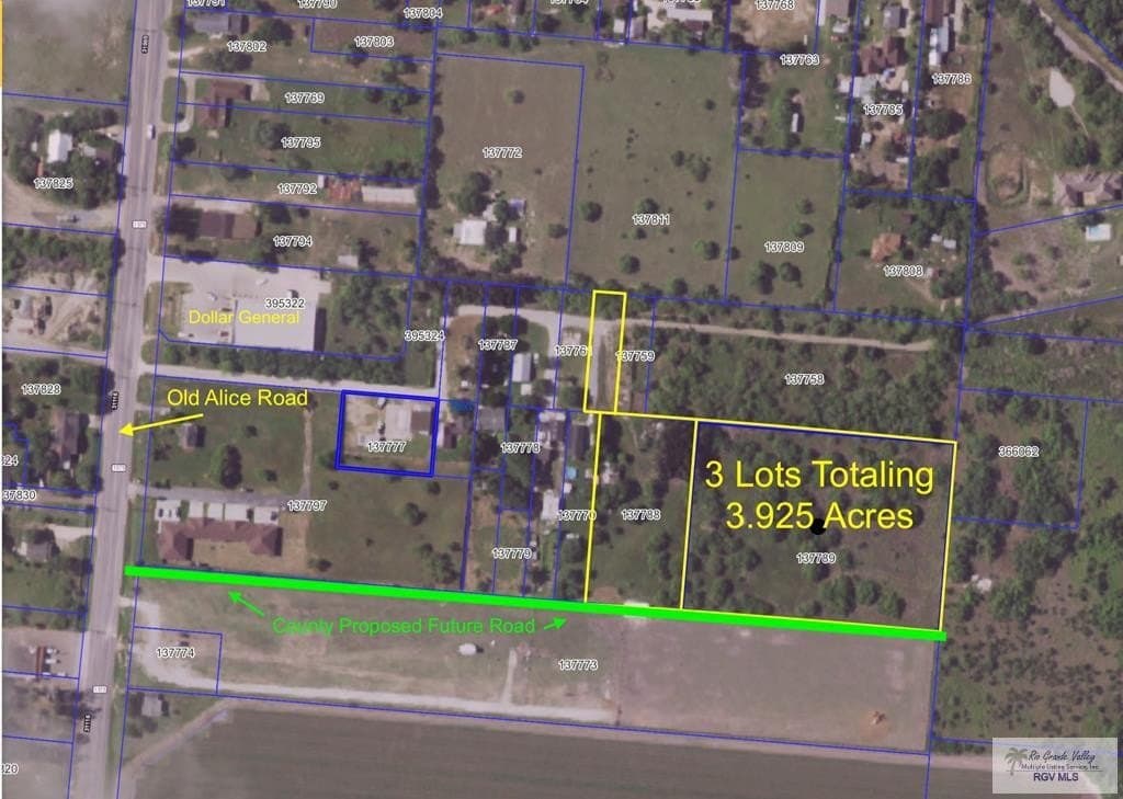 3.93 acres in CAMERON County gallery image 2