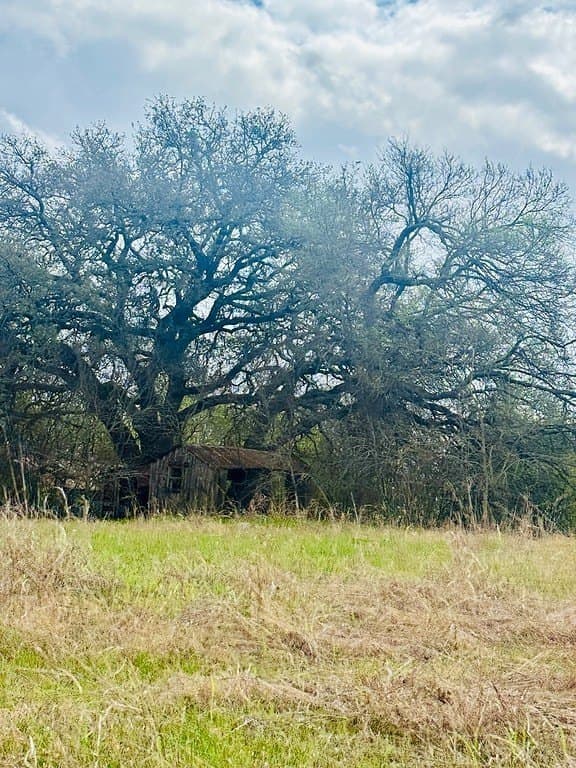 252 acres in Falls County - photo 9