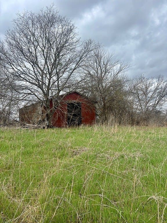 252 acres in Falls County - photo 10