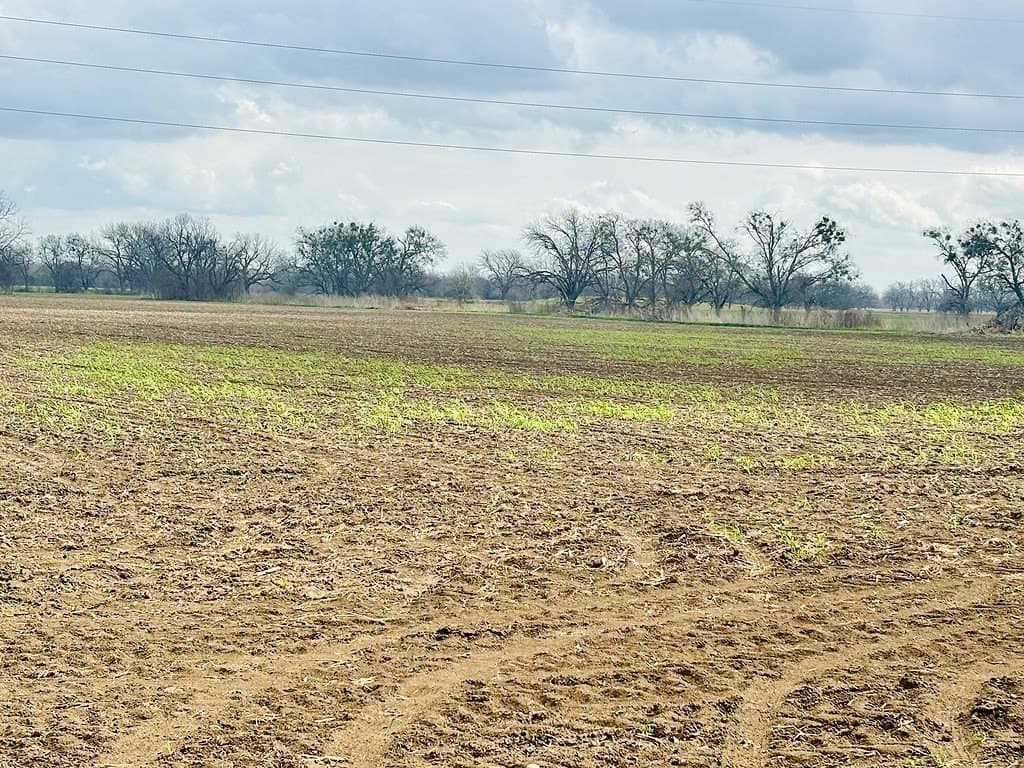 252 acres in Falls County - photo 8