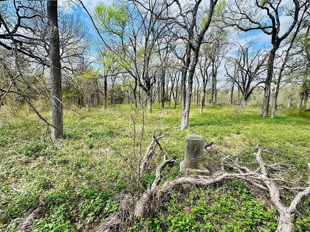 252 acres in Falls County gallery image 3