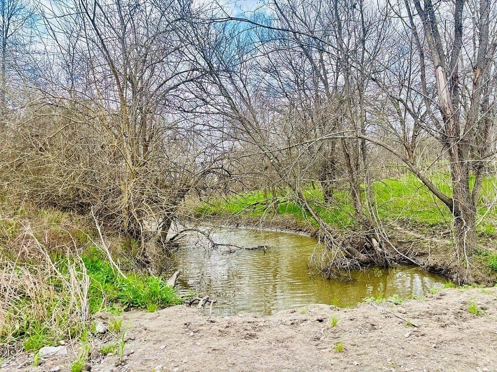 252 acres in Falls County