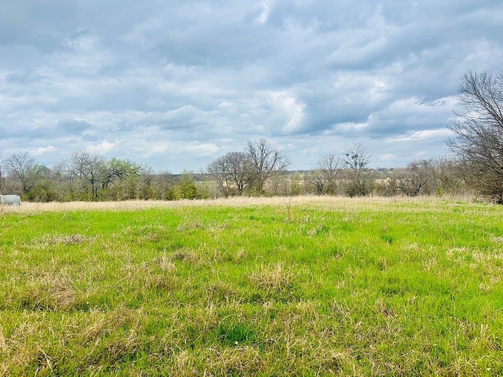 252 acres in Falls County - photo 11