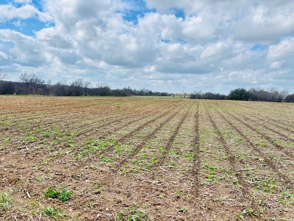 252 acres in Falls County gallery image 2