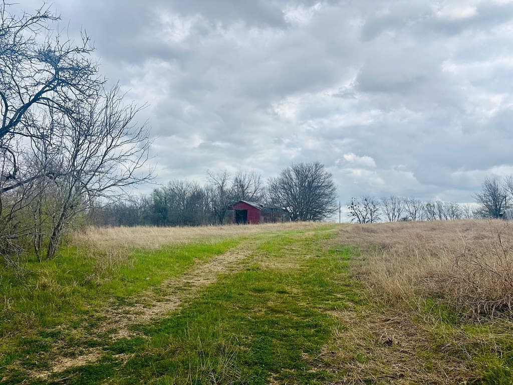 252 acres in Falls County - photo 6