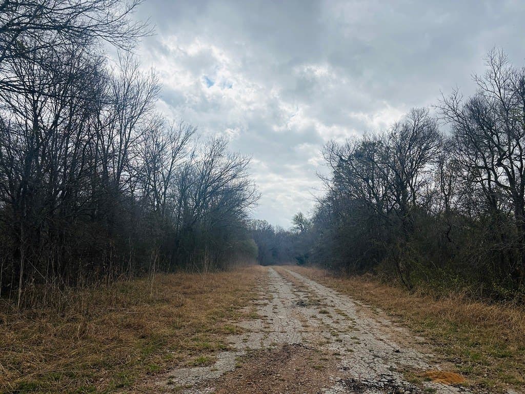252 acres in Falls County - photo 7