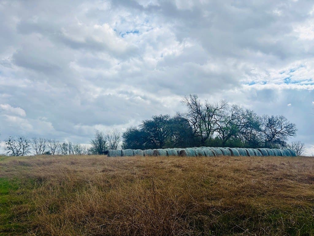 252 acres in Falls County featured view
