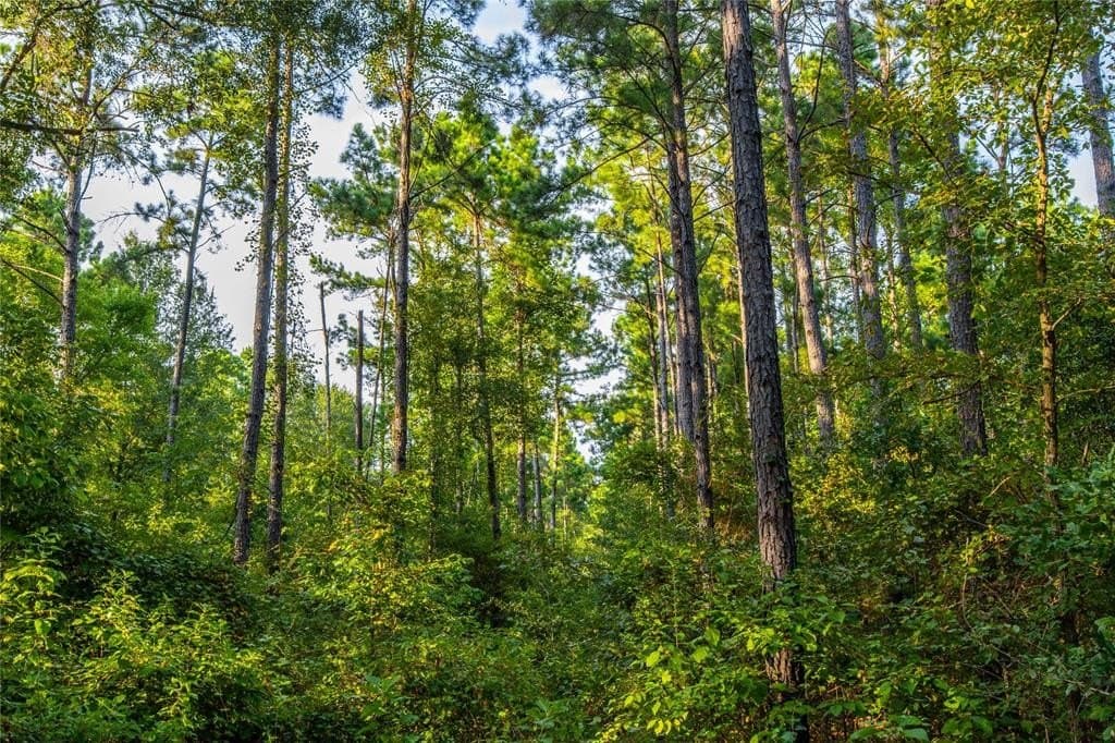 92 acres in Henderson County featured view