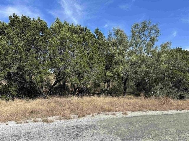 0.23 acres in Burnet County - photo 2