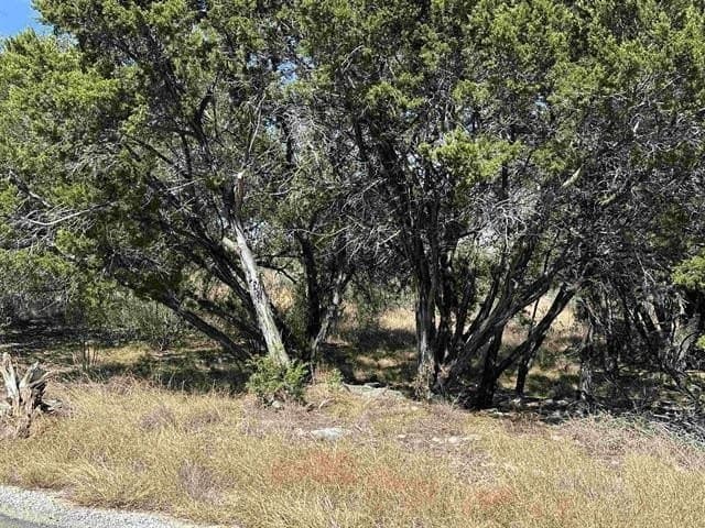 0.23 acres in Burnet County - photo 11