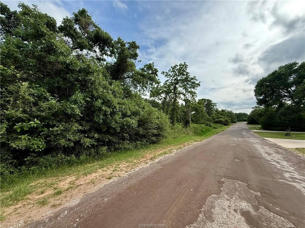 0.46 acres in Leon County gallery image 4