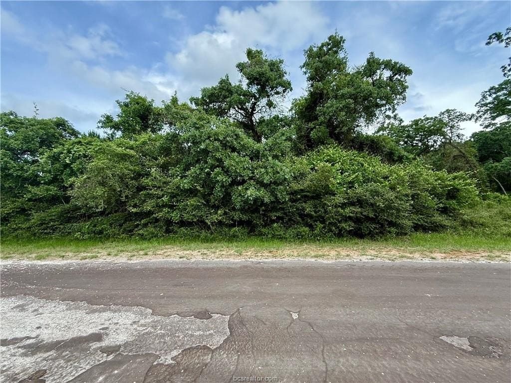 0.46 acres in Leon County featured view