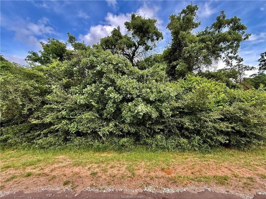 0.46 acres in Leon County gallery image 2
