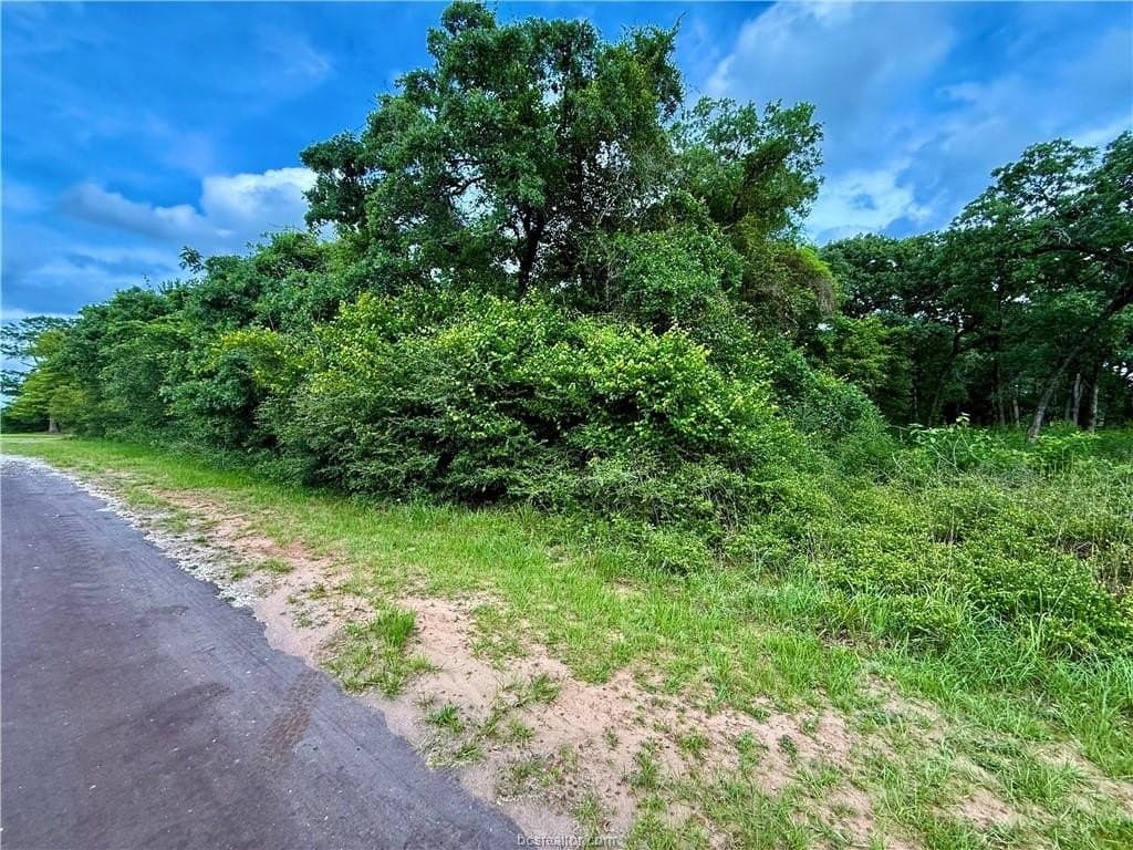 0.46 acres in Leon County