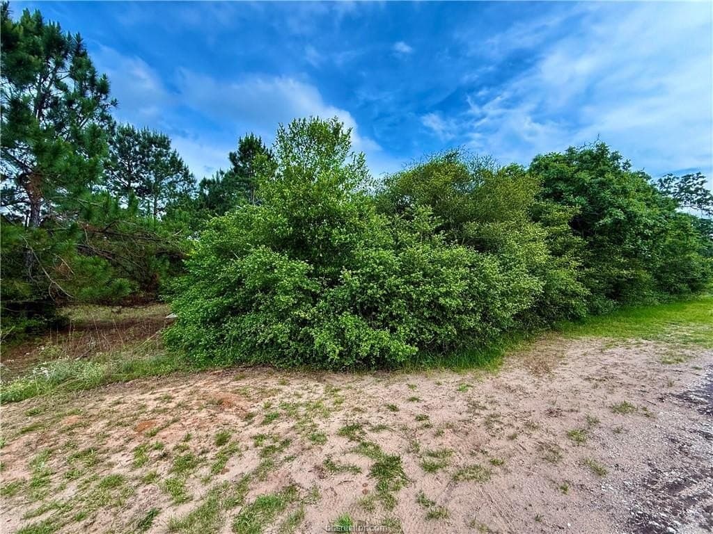 0.46 acres in Leon County gallery image 3