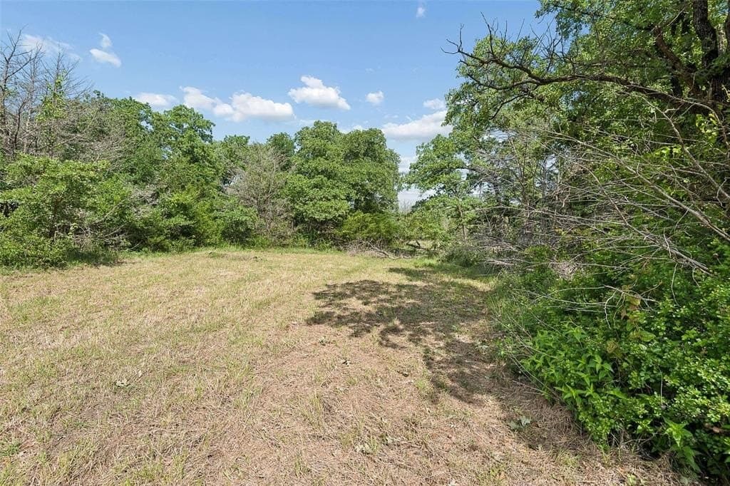 23.3 acres in Wise County gallery image 4