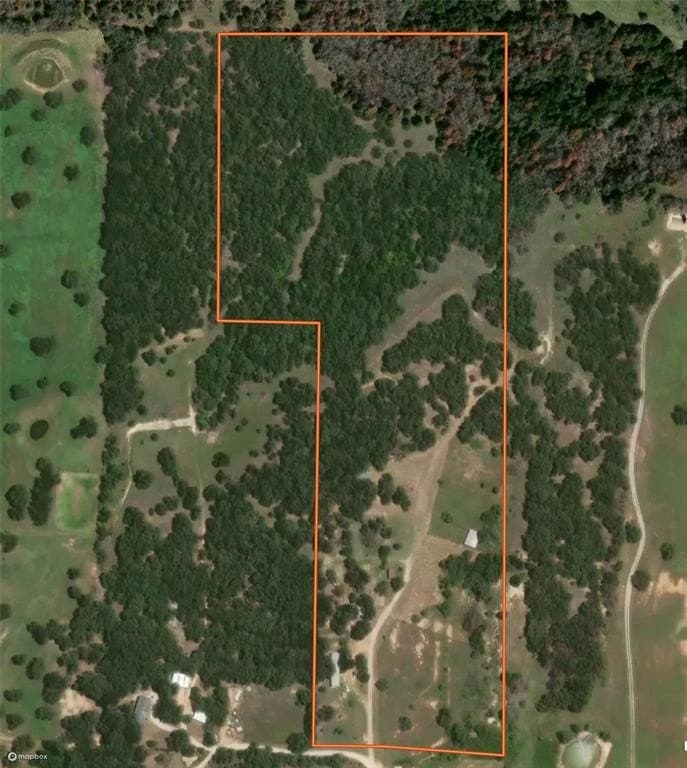 23.3 acres in Wise County gallery image 2