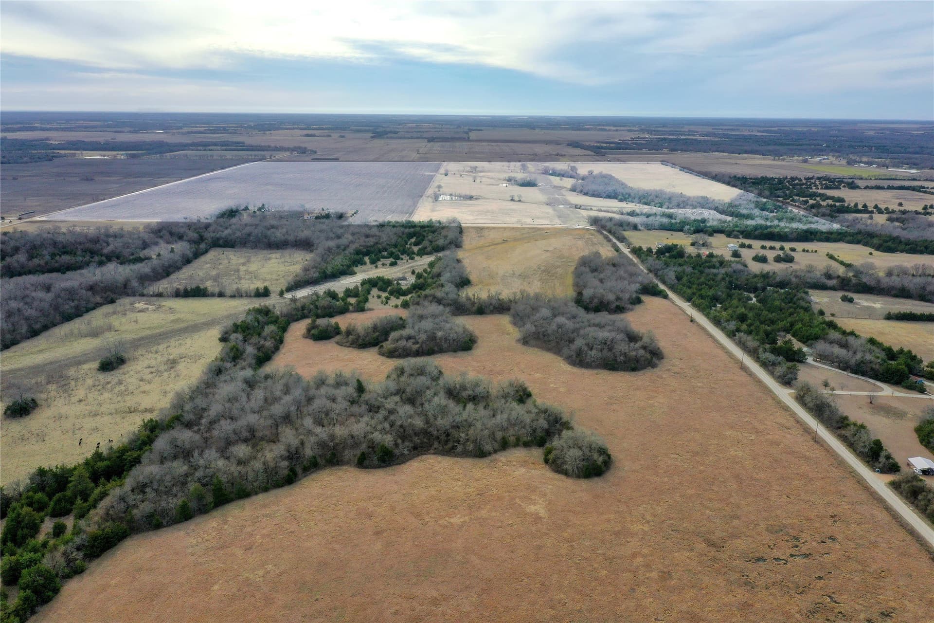 303.01 acres in Fannin County gallery image 3
