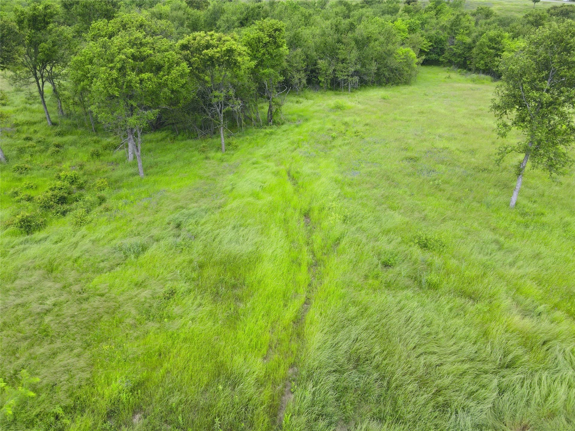 3.19 acres in Navarro County - photo 16