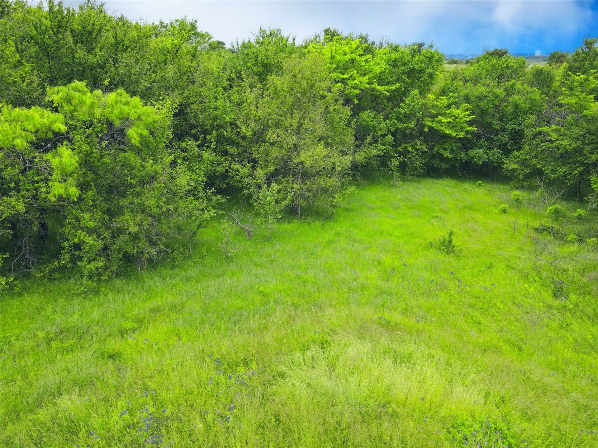 3.19 acres in Navarro County - photo 11