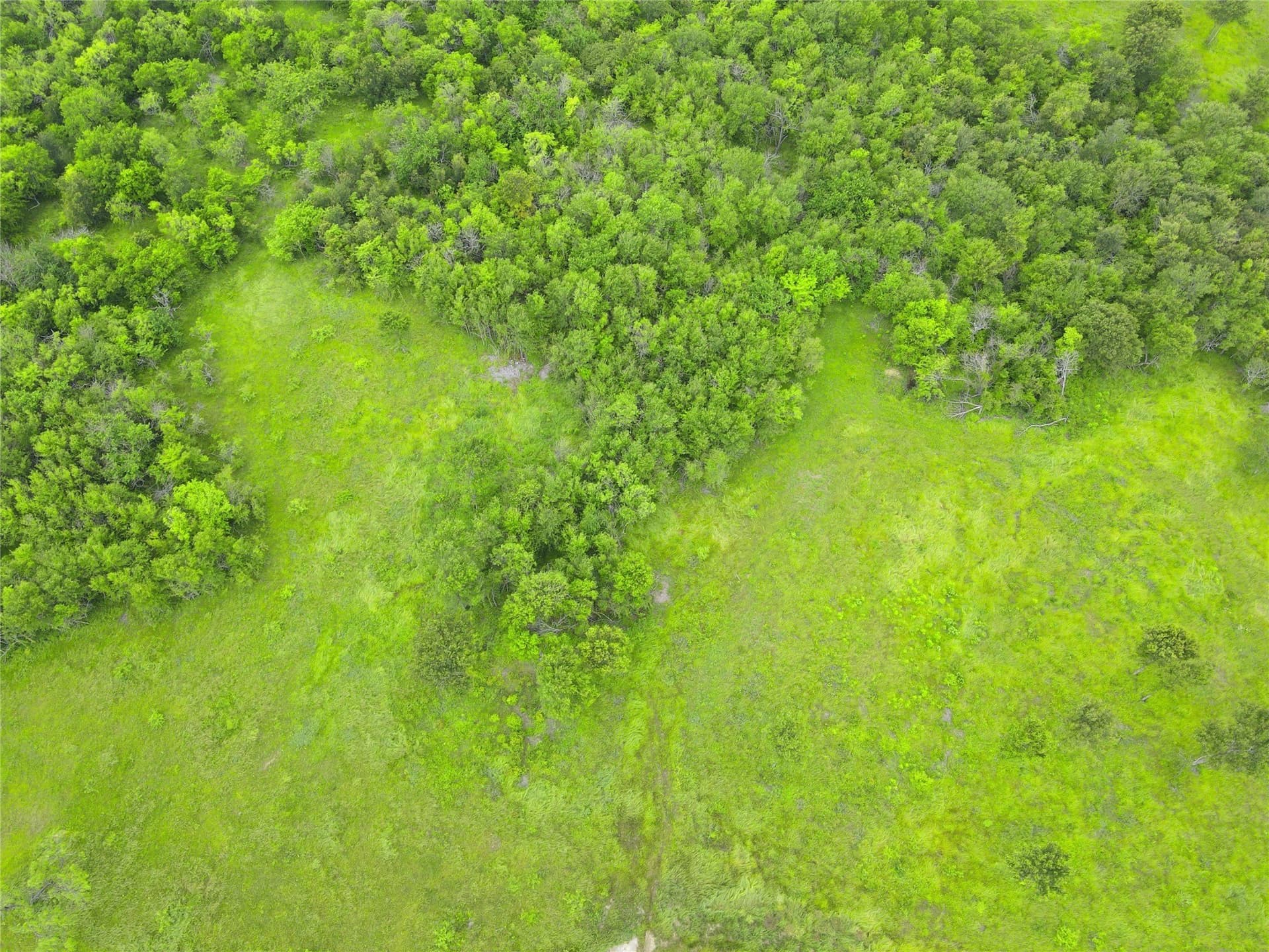3.19 acres in Navarro County - photo 25
