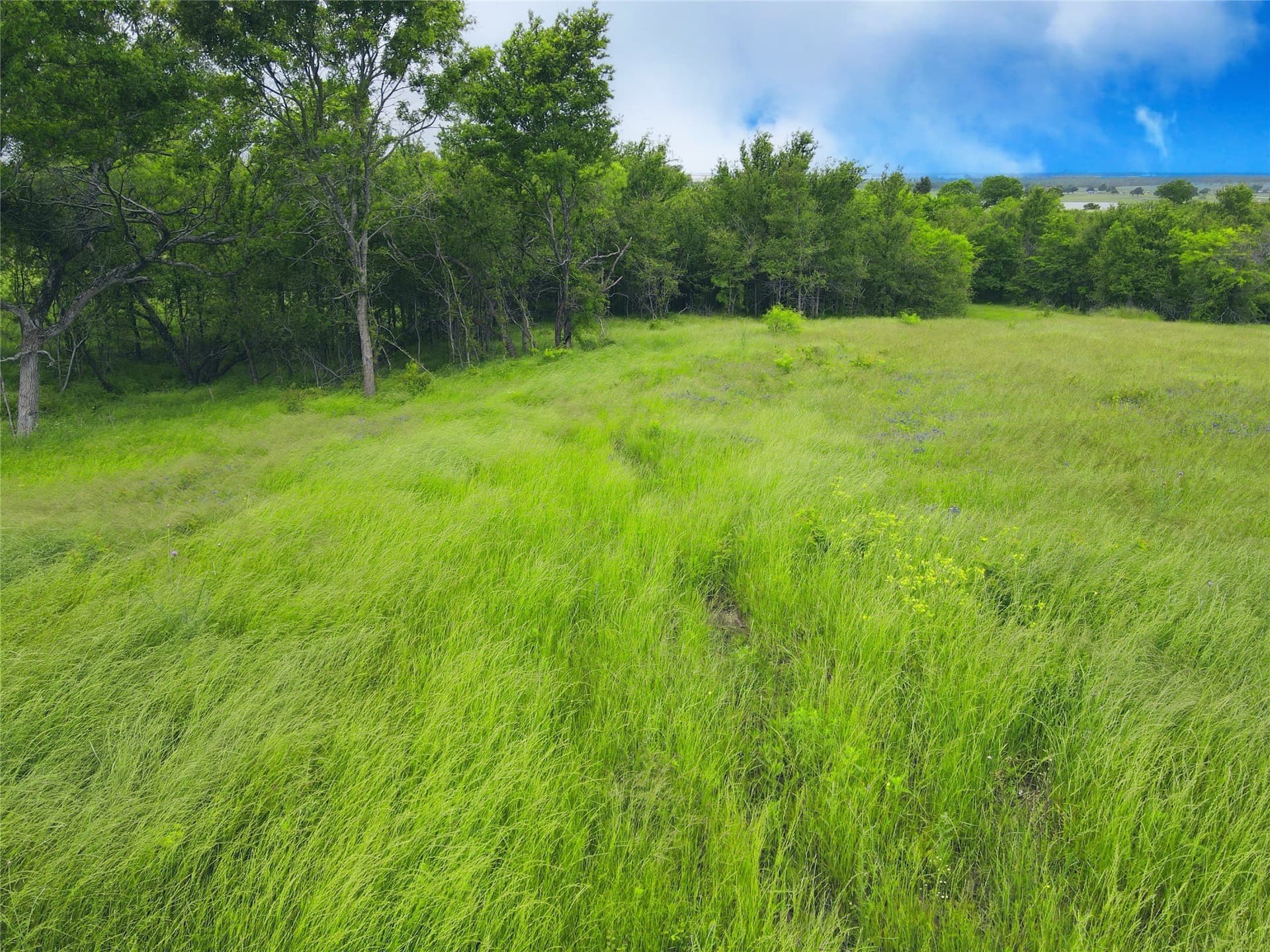3.19 acres in Navarro County - photo 23