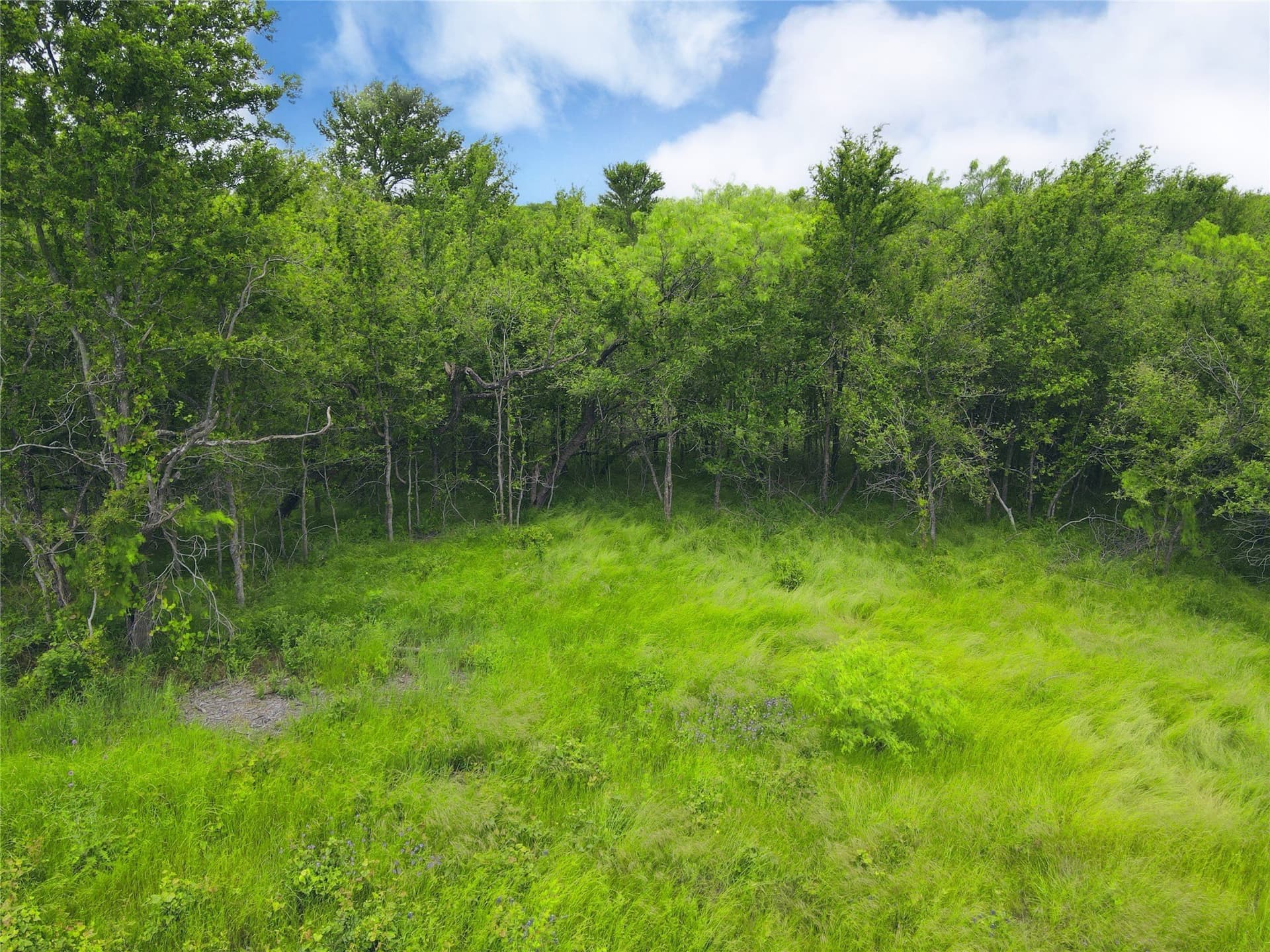 3.19 acres in Navarro County - photo 9