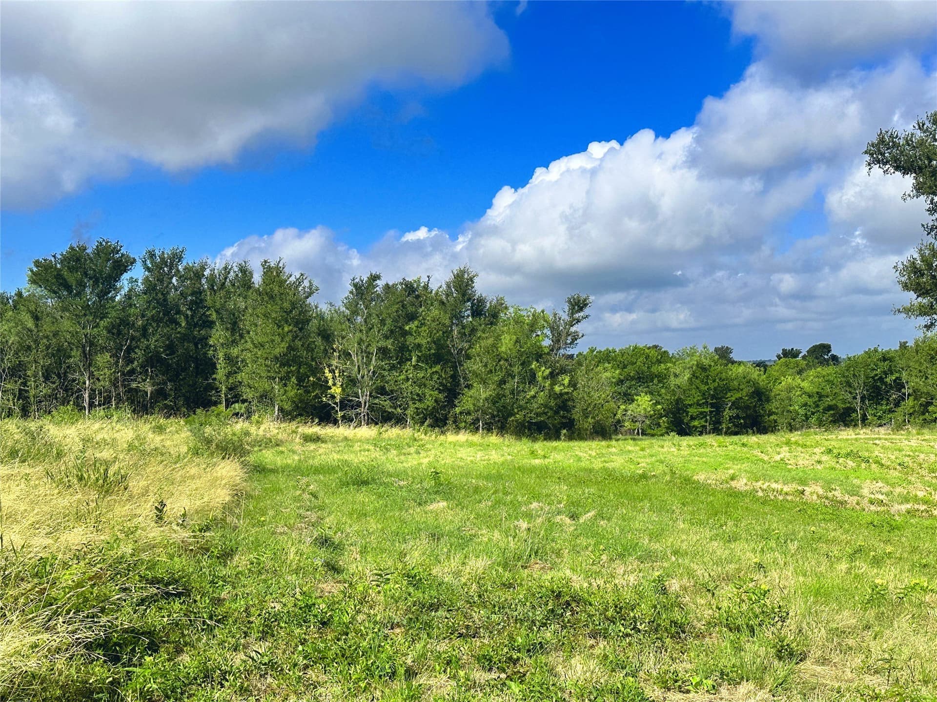 3.19 acres in Navarro County - photo 19