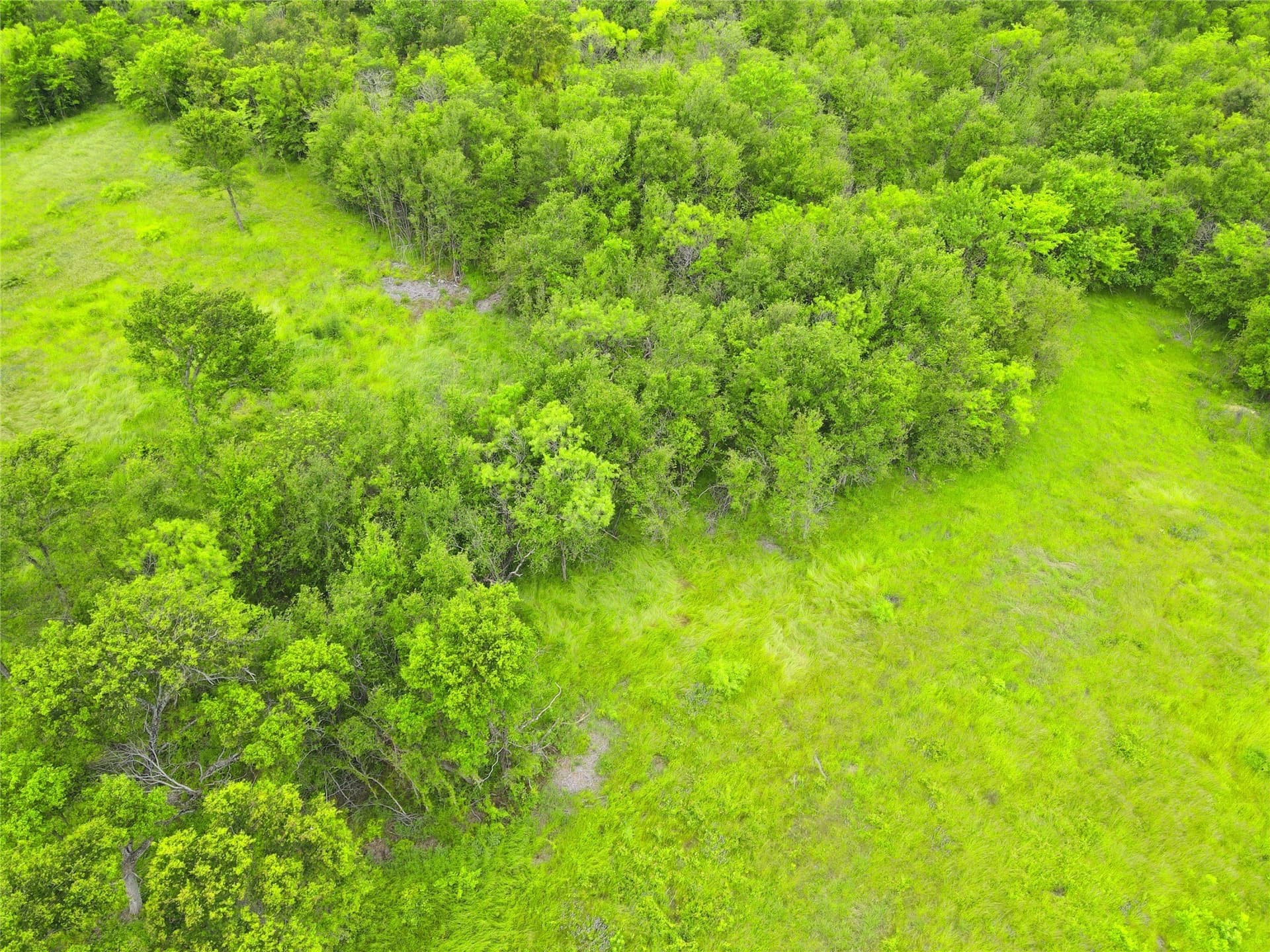 3.19 acres in Navarro County - photo 20