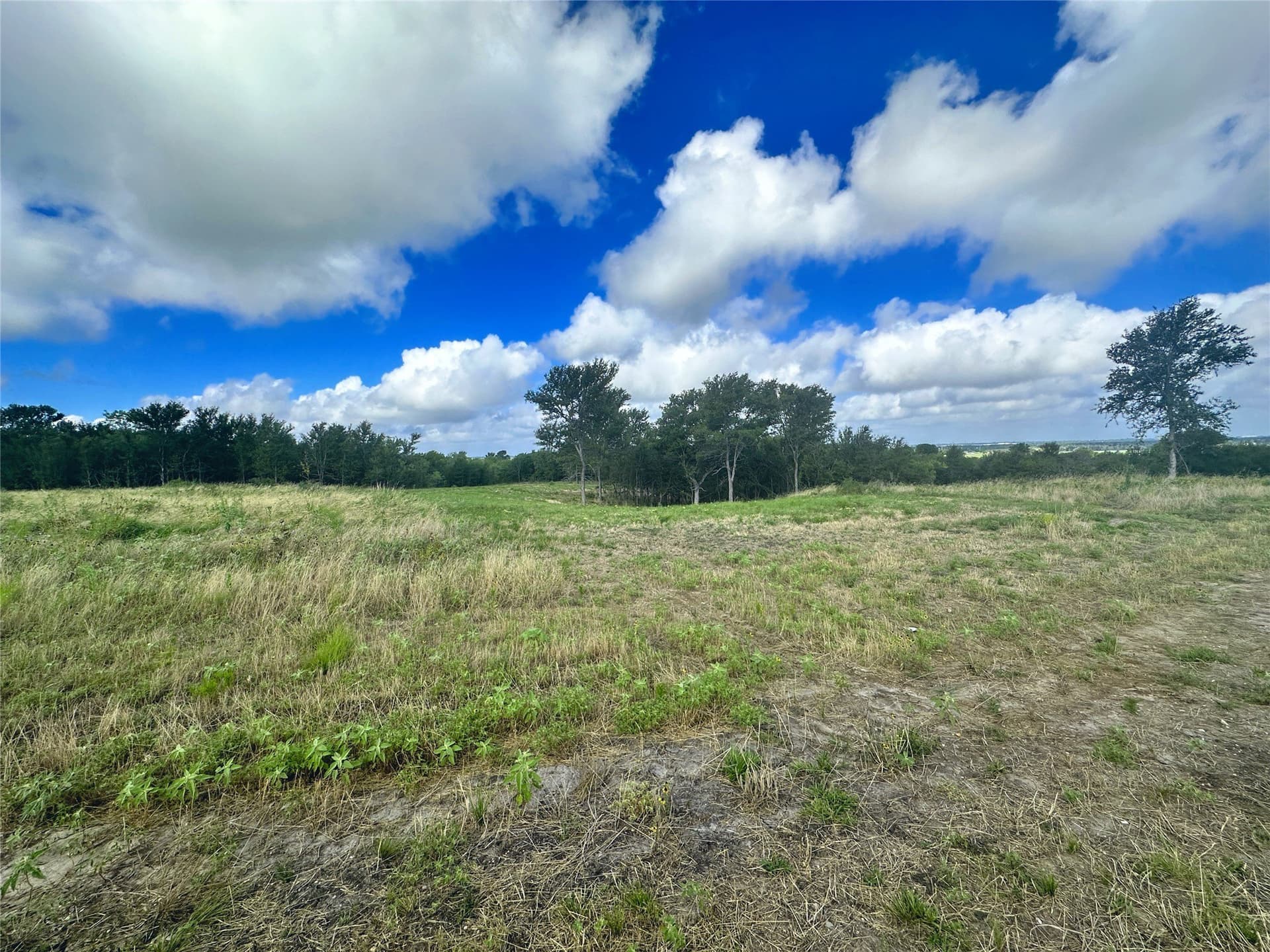 3.19 acres in Navarro County - photo 22