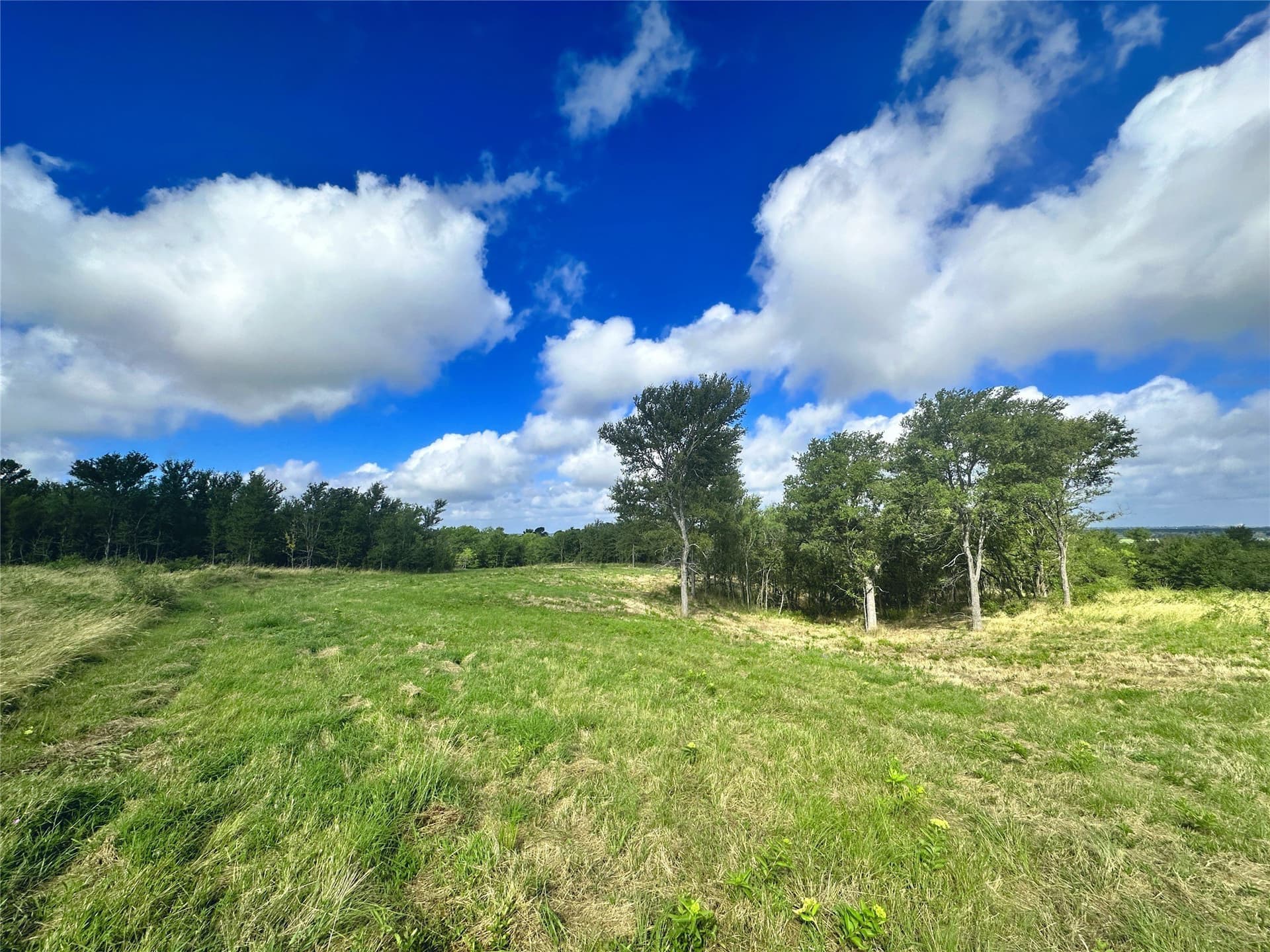 3.19 acres in Navarro County - photo 24